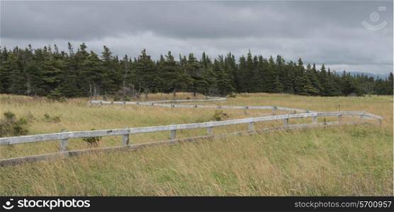 Fence in grassy field, Cow Head, Gros Morne National Park, Newfoundland and Labrador, Canada