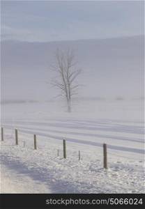 Fence in snow covered field, British Columbia Highway 97, British Columbia, Canada