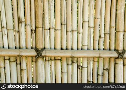 Fence made of bamboo. Fence made of bamboo sticks, background natural material