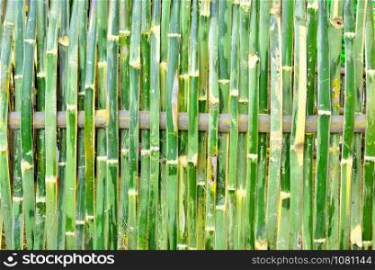 Fence made of bamboo with a weave in house Thailand.
