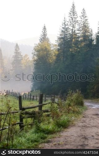 fence near road in morning fog