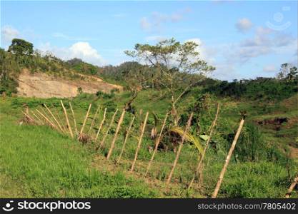 Fence of the farm and green field in Fiji