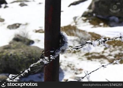 fence of thorns full of ice on wires