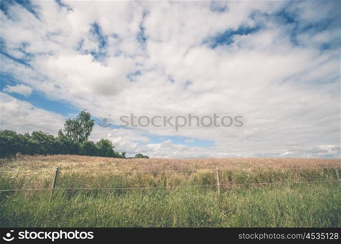 Fence on a meadow in a rural landscape