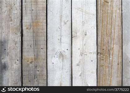 Fence with wooden planks in Leidschendam, Netherlands.