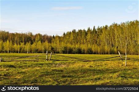 Fenced pasture in a forest at sunset, spring time