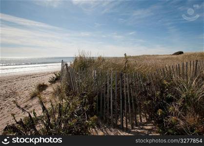 Fencing along the beach in the Hamptons