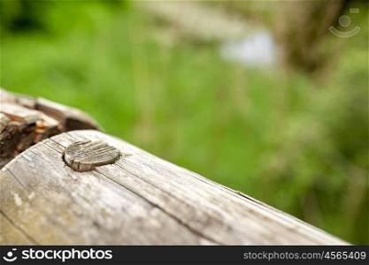 fencing and wood concept - close up of wooden fence outdoors. close up of wooden fence outdoors