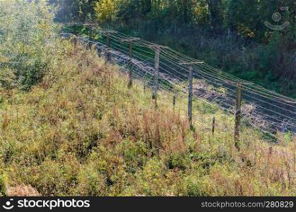 fencing territory with barbed wire, barbed wire fence. barbed wire fence, fencing territory with barbed wire