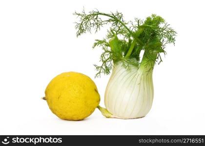 Fennel and lemon isolated on white background