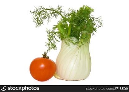 Fennel and ripe tomato isolated on white background