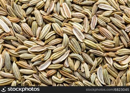 Fennel seeds background