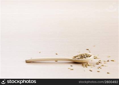 Fennel Seeds in a spoon with some spilt over the wooden background