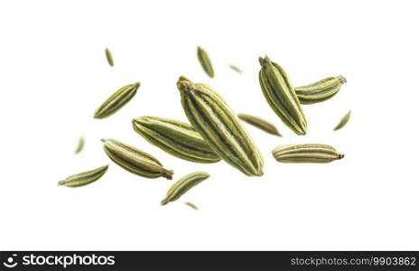 Fennel seeds levitate on a white background.. Fennel seeds levitate on a white background