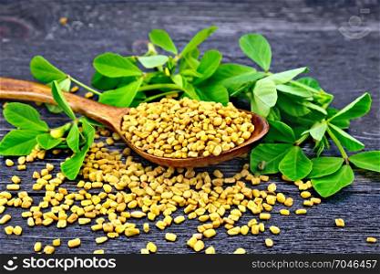 Fenugreek seeds in a spoon and on a table with green leaves against a black wooden board