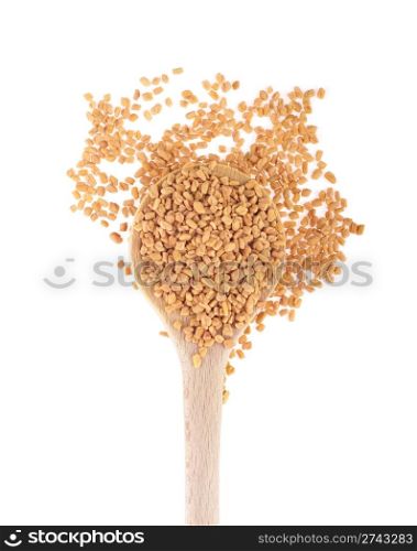 fenugreek seeds spice on a wooden spoon, isolated on white background