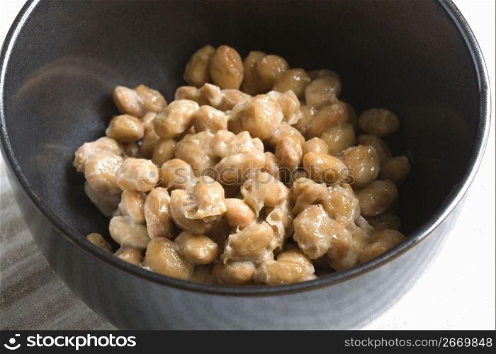 Fermented Soybeans