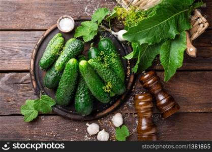 Fermenting cucumbers, cooking recipe salted or marinated pickles with garlic and dil. Fermenting cucumbers, cooking recipe salted or marinated pickles with garlic and dill