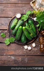 Fermenting cucumbers, cooking recipe salted or marinated pickles with garlic and dil. Fermenting cucumbers, cooking recipe salted or marinated pickles with garlic and dill