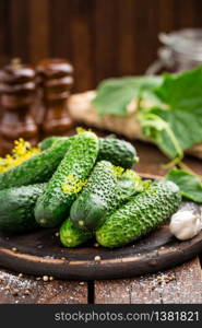 Fermenting cucumbers, cooking recipe salted or marinated pickles with garlic and dill. Fermenting cucumbers, cooking recipe salted or marinated pickles with garlic and dil