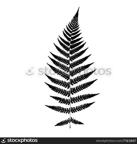 Fern leaf silhouette. Vector illustration