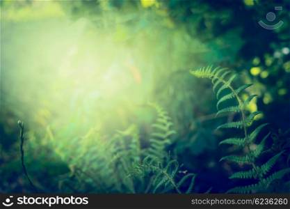 Fern leaves on dark jungle or rainforest nature background, outdoor