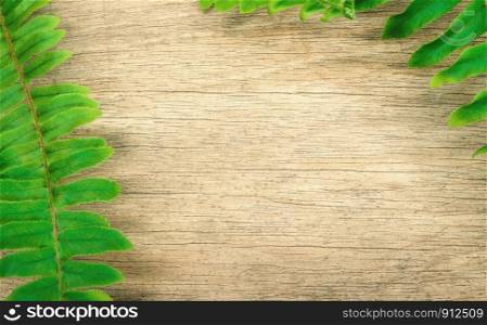 Fern leaves on wooden background.