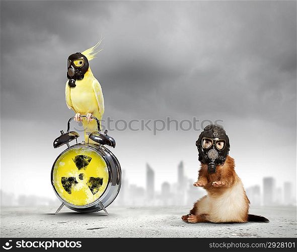 Ferret and parrot in gas masks