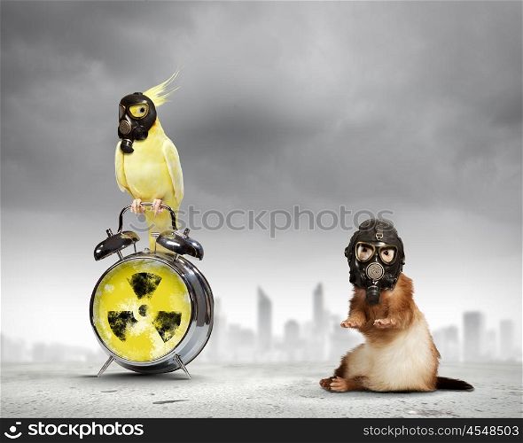 Ferret and parrot in gas masks. Ferret and parrot in gas masks. Ecology concept