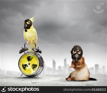 Ferret and parrot in gas masks. Ferret and parrot in gas masks. Ecology concept