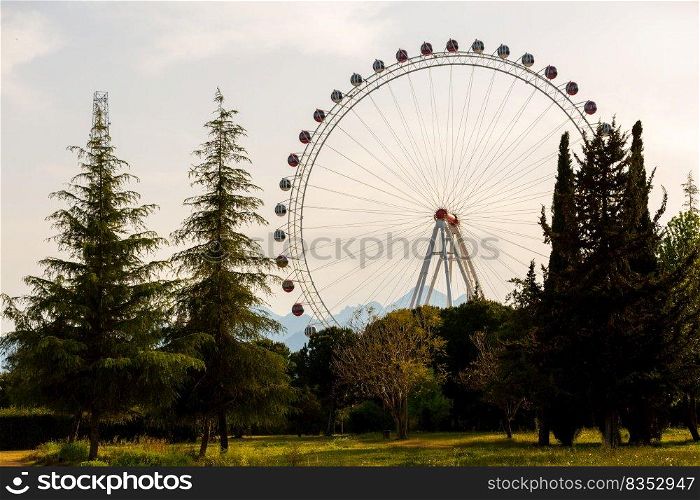 Ferris wheel among green trees