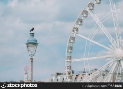 Ferris wheel Roue de Paris on the Place de la Concorde from Tuileries Garden in Paris, France. Ferris wheel Roue de Paris on the Place de la Concorde from Tuileries Garden