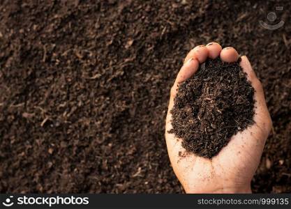 Fertile soil.