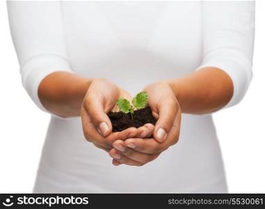 fertility and nature concept - closeup of woman hands holding plant in soil