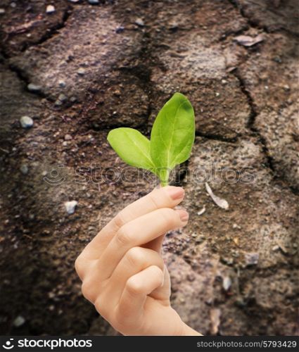 fertility, environment, ecology, agriculture and nature concept - closeup of woman hand holding plant in soil over ground background