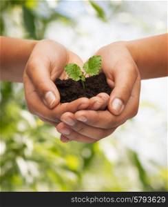 fertility, environment, ecology, agriculture and nature concept - closeup of woman hands holding plant in soil over green background