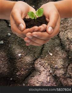 fertility, environment, ecology, agriculture and nature concept - closeup of woman hands holding plant in soil over ground background