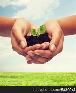 fertility, environment, ecology, agriculture and nature concept - closeup of woman hands holding plant in soil over blue sky and grass background