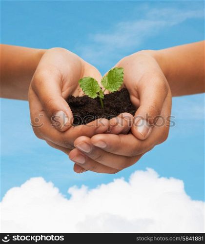 fertility, environment, ecology, agriculture and nature concept - closeup of woman hands holding plant in soil over blue sky and cloud background