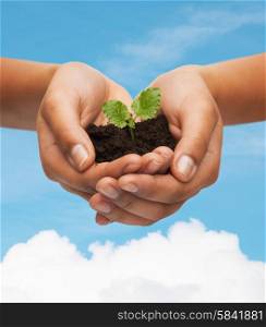 fertility, environment, ecology, agriculture and nature concept - closeup of woman hands holding plant in soil over blue sky and cloud background