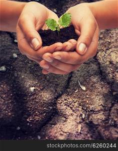 fertility, environment, ecology, agriculture and nature concept - closeup of woman hands holding plant in soil over ground background
