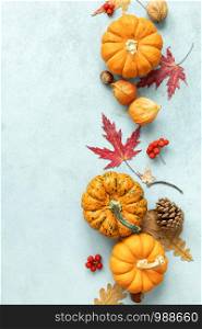 Festive autumn pumpkins decor with fall leaves, berries, nuts on blue background. Thanksgiving day or halloween holiday, harvest concept. Top view flat lay composition with copy space for greeting