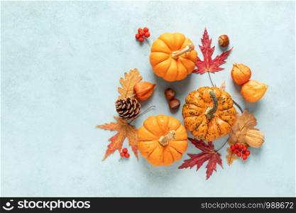 Festive autumn pumpkins decor with fall leaves, berries, nuts on blue background. Thanksgiving day or halloween holiday, harvest concept. Top view flat lay composition with copy space for greeting
