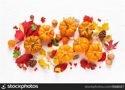 Festive autumn pumpkins decor with fall leaves, berries, nuts on white background. Thanksgiving day or halloween holiday, harvest concept. Top view flat lay composition with copy space for greeting