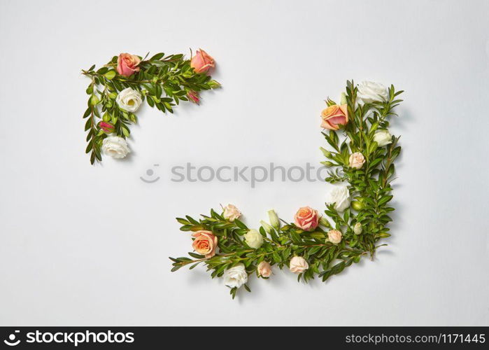 Festive corner frame with evergreen branches of boxwood with coral roses flowers on a light grey background, place for text. Flat lay. Valentine&rsquo;s Day greeting card.. Horizontal corner frame from evergreen twigs and flowers.