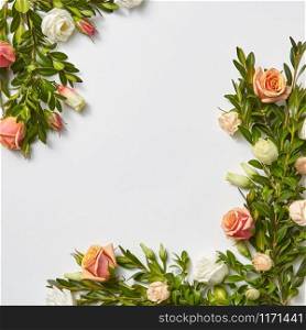 Festive plant corner frame with evergreen branches of boxwood with coral roses flowers on a light grey background, place for text. Flat lay.Valentine&rsquo;s Day concept.. Congratulation card with evergreen twigs and flowers.