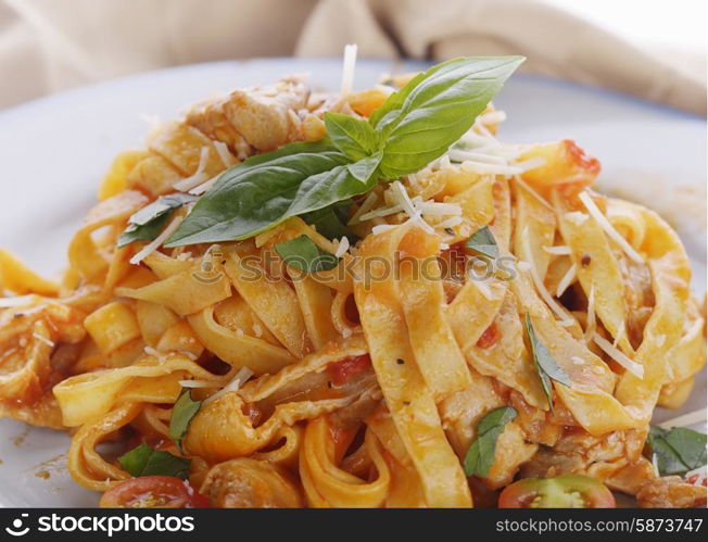 Fettuccine Pasta with Chicken and Vegetables