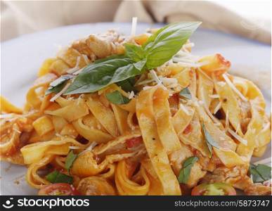 Fettuccine Pasta with Chicken and Vegetables