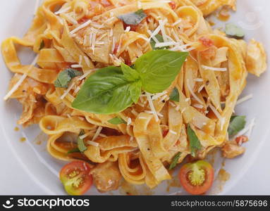 Fettuccine Pasta with Chicken and Vegetables