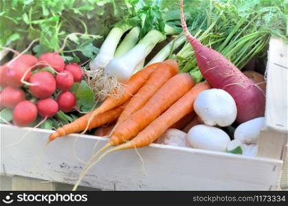few fresh vegetables in a tray